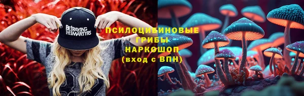 шишки Волосово